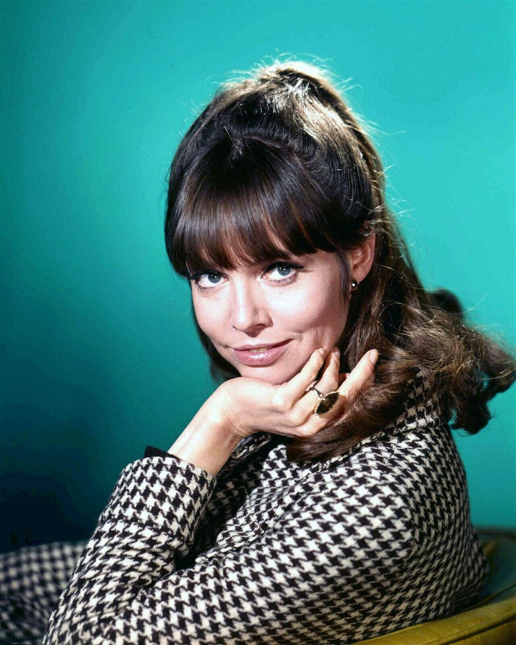 Barbara Feldon Original 1