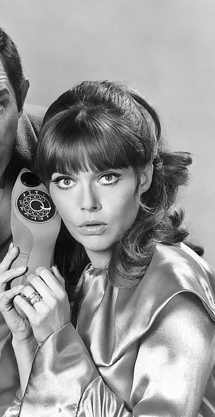 Barbara Feldon Original 11